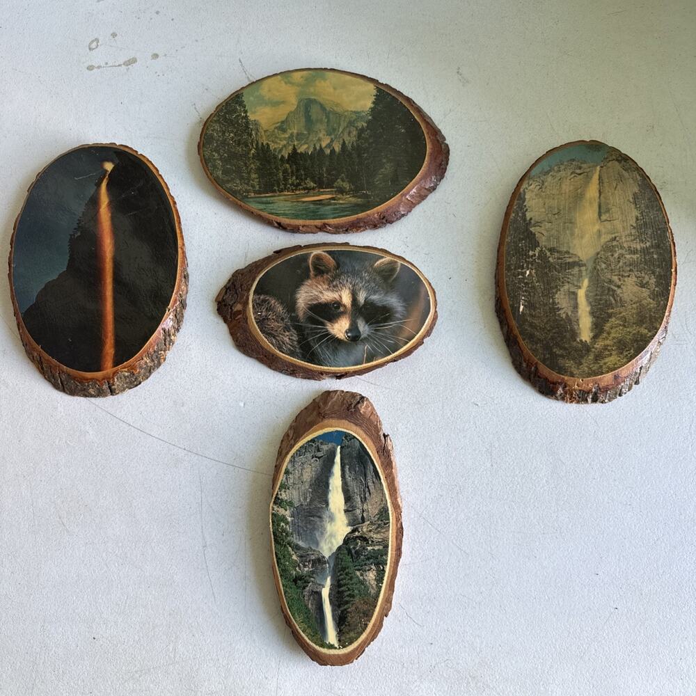 Sliced Wood Wall Hangings Lot Of 5 Nature Scenes Vintage2